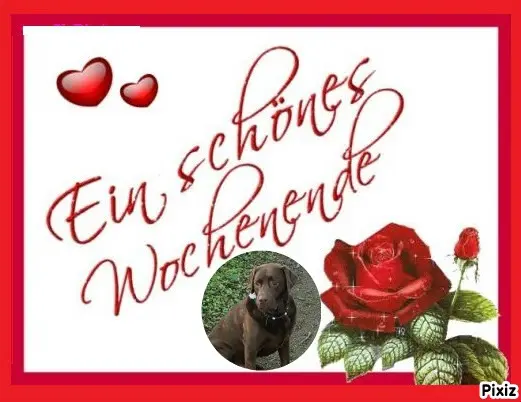 Condolence image of Tanja mit Timmy im Herzen
