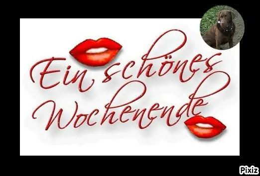 Condolence image of Tanja mit Timmy im Herzen