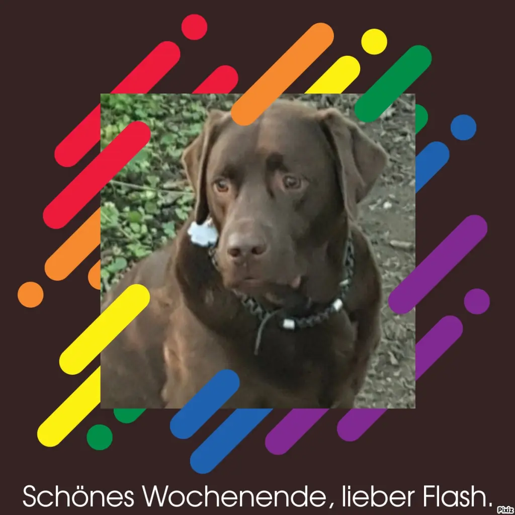 Condolence image of Tanja mit Timmy im Herzen