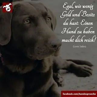 Condolence image of Flash immer in meinem Herzen ❤️❤️