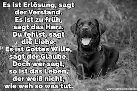 Condolence image of Für meinen geliebten ❤️ Flash ❤️