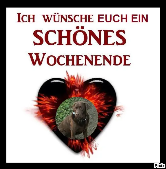 Condolence image of Tanja mit Timmy im Herzen 