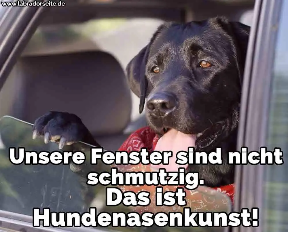 Condolence image of Unvergessen immer in meinem ❤️