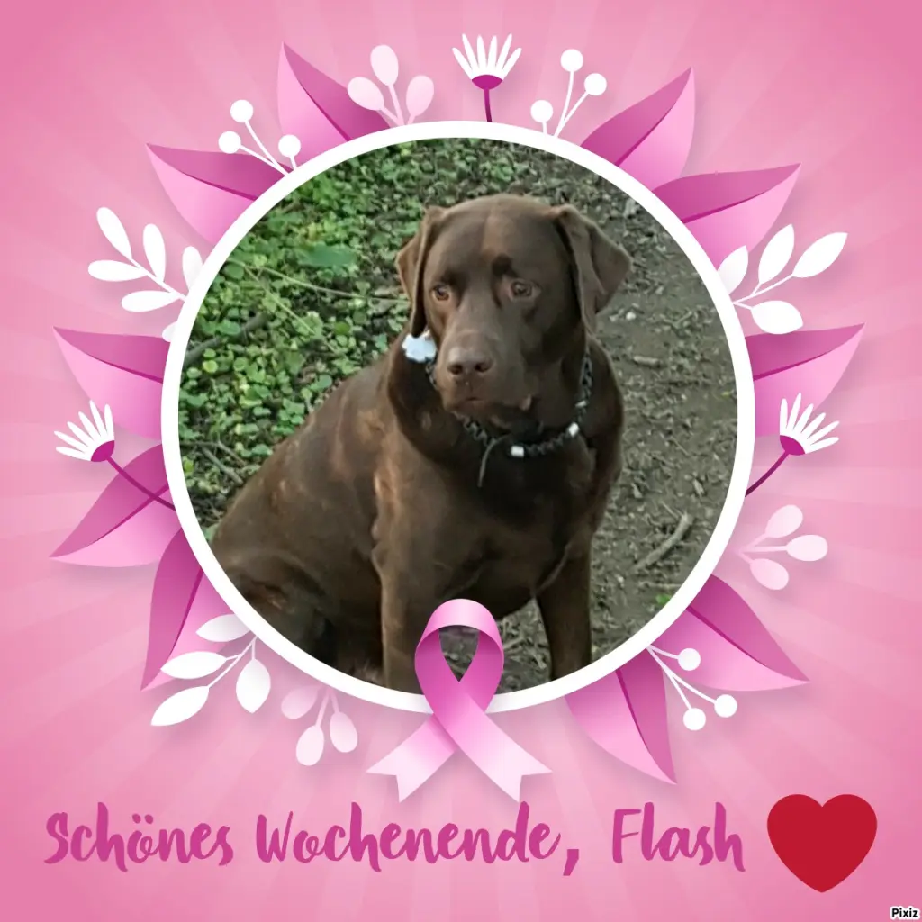 Condolence image of Tanja mit Timmy im Herzen 