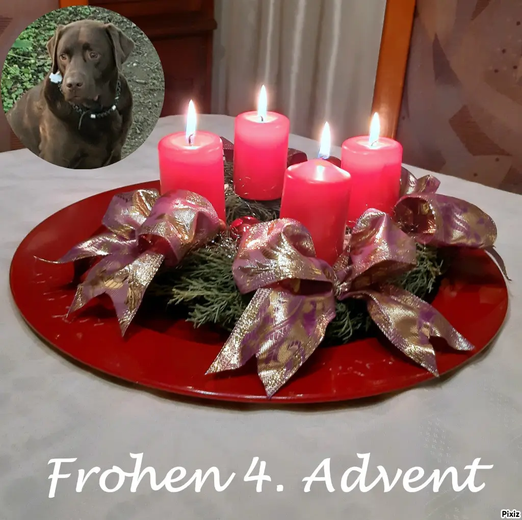 Condolence image of Tanja mit Timmy im Herzen