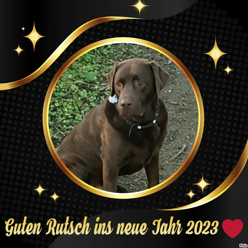 Condolence image of Tanja mit Timmy im Herzen