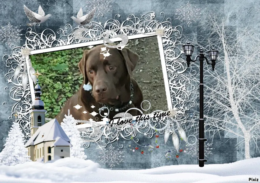Condolence image of Tanja mit Timmy im Herzen
