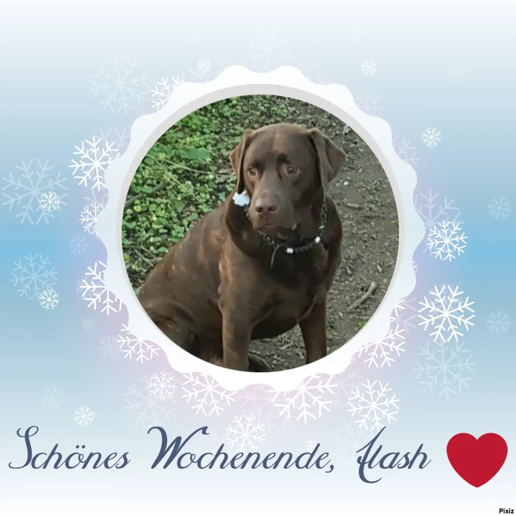 Condolence image of Tanja mit Timmy im Herzen