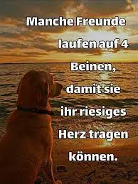 Condolence image of Unvergessen immer in meinem ❤️