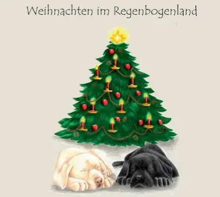 Condolence image of Weihnachtsgrüße ins Regenbogenland 