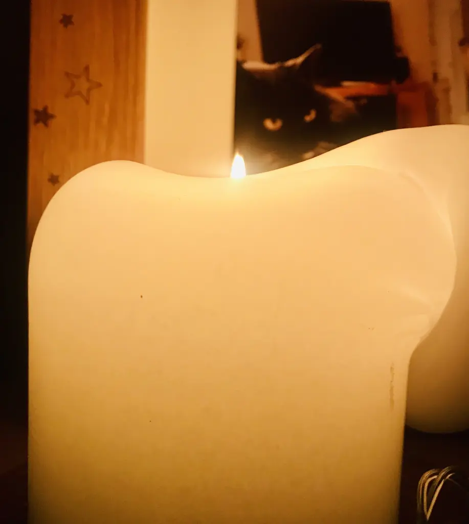 Condolence image of Julia und Sami 