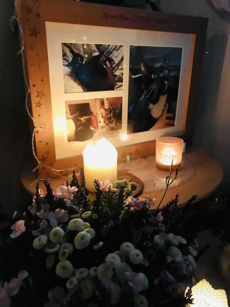 Condolence image of Lucy‘s Mama