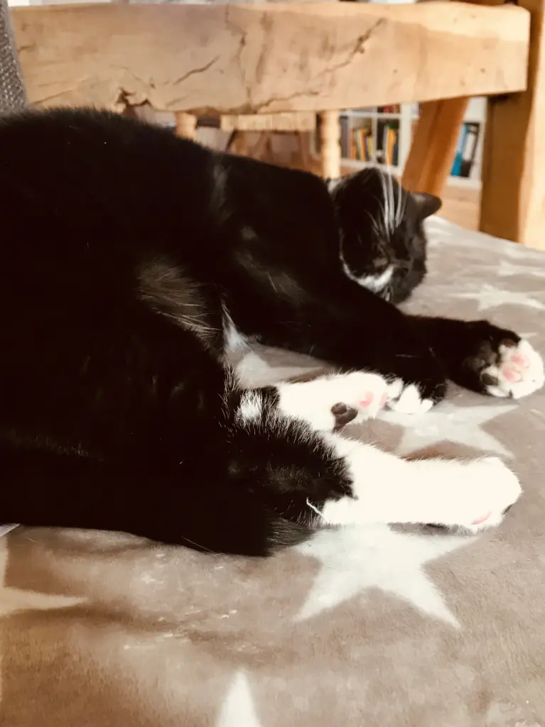 Image from Lucy „Lu“