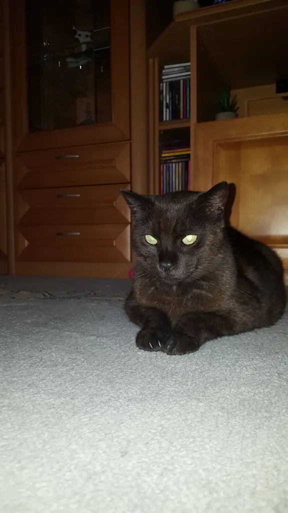 Condolence image of Heidi