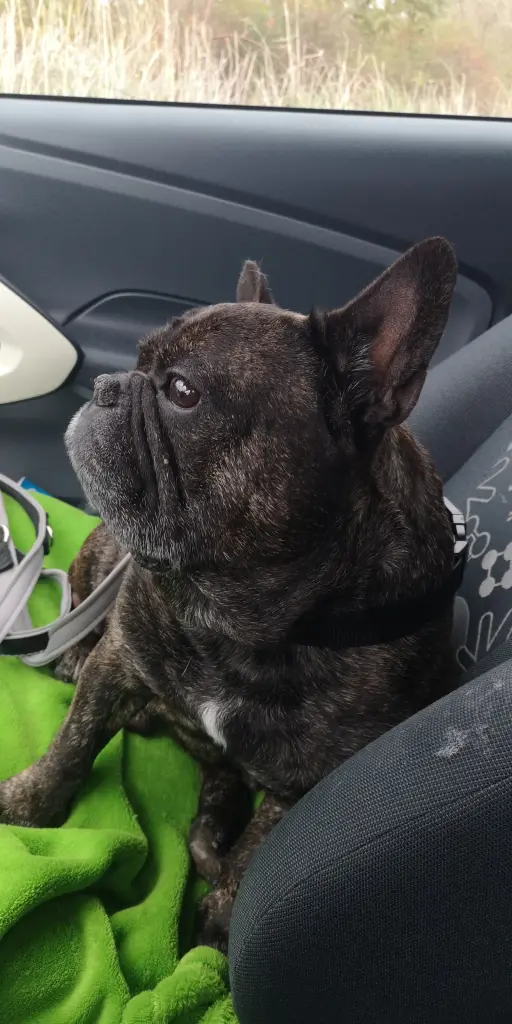 Image from Milow