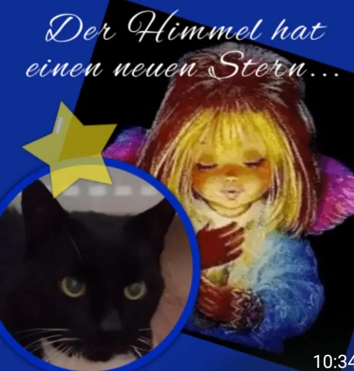 Image from Flecki