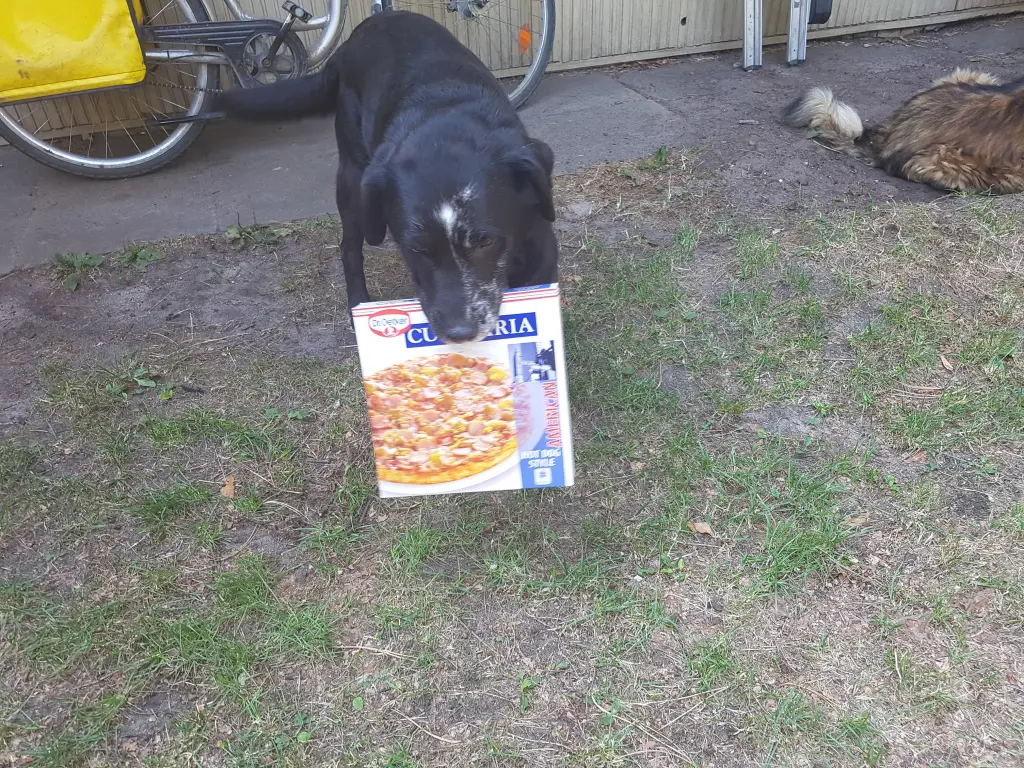 Bild von Shadow