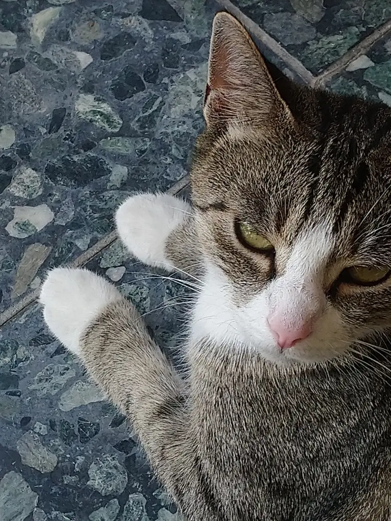 Image from Lucky