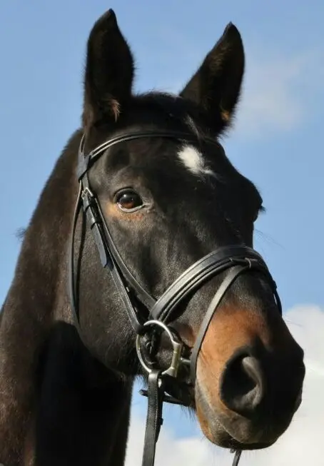 Condolence image of Nannette