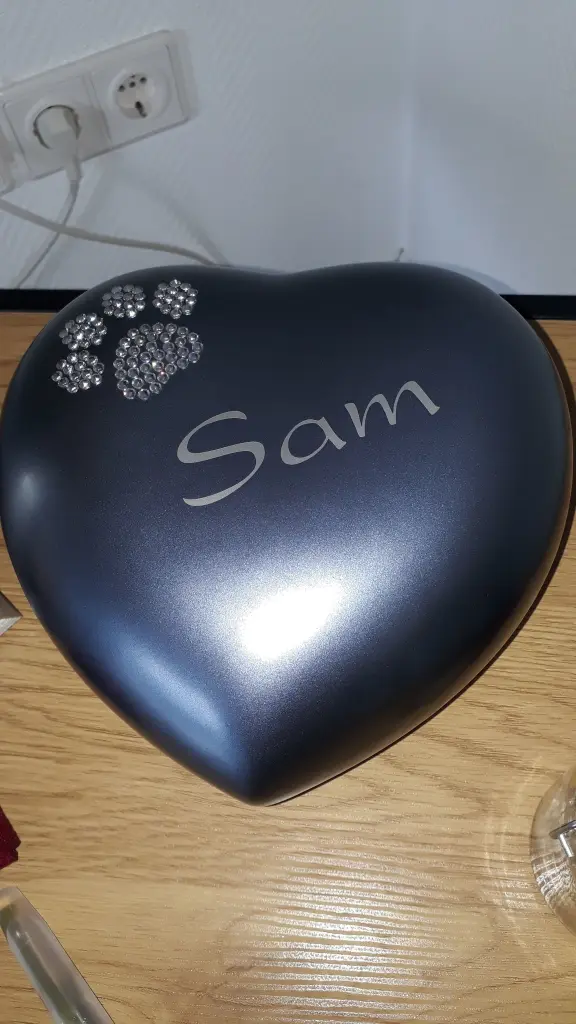 Image from Sam