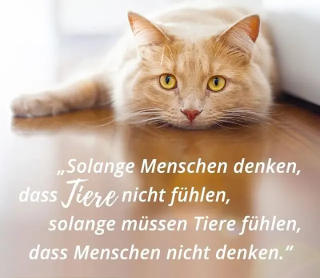 Condolence image of Sabine mit Kaspar tief im Herzen