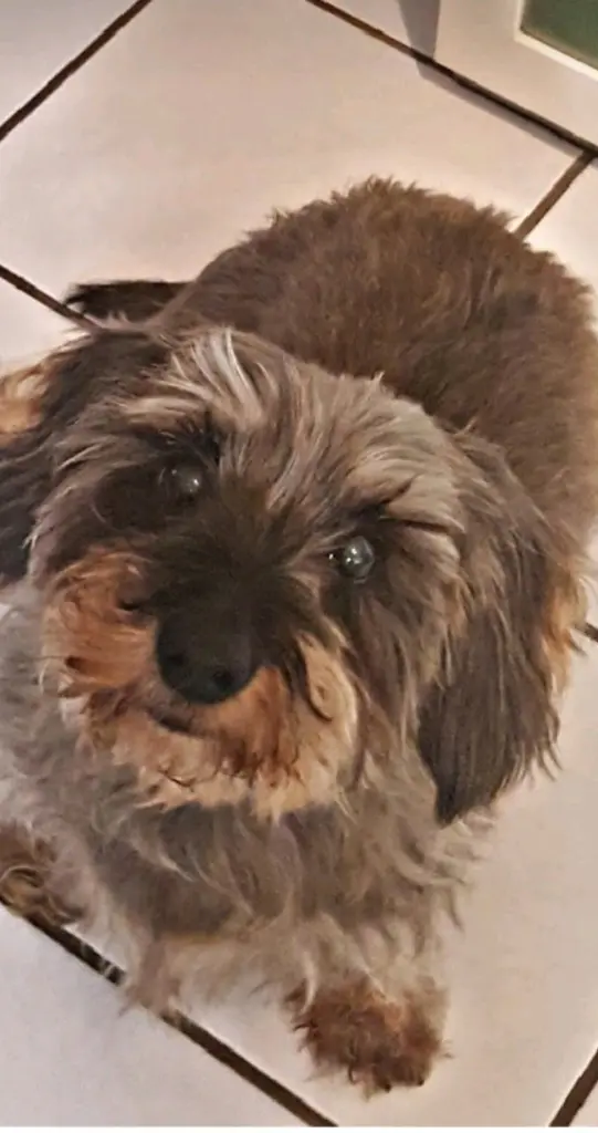 Condolence image of Anke