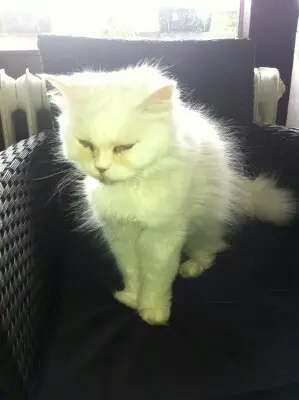 Image from Sissi