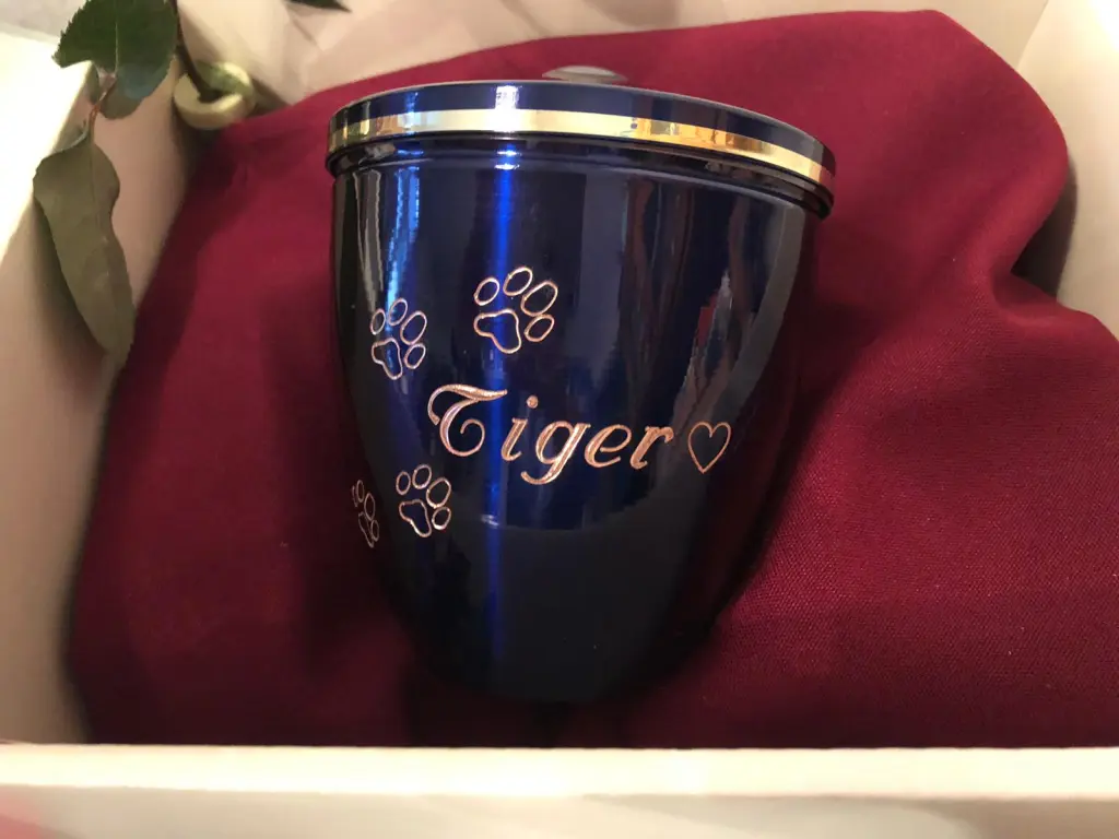 Bild von Tiger
