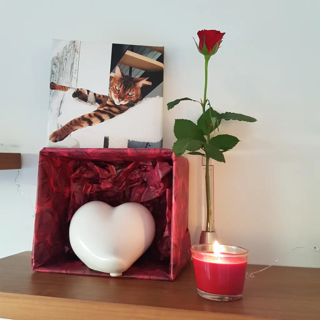 Condolence image of Unbekannt