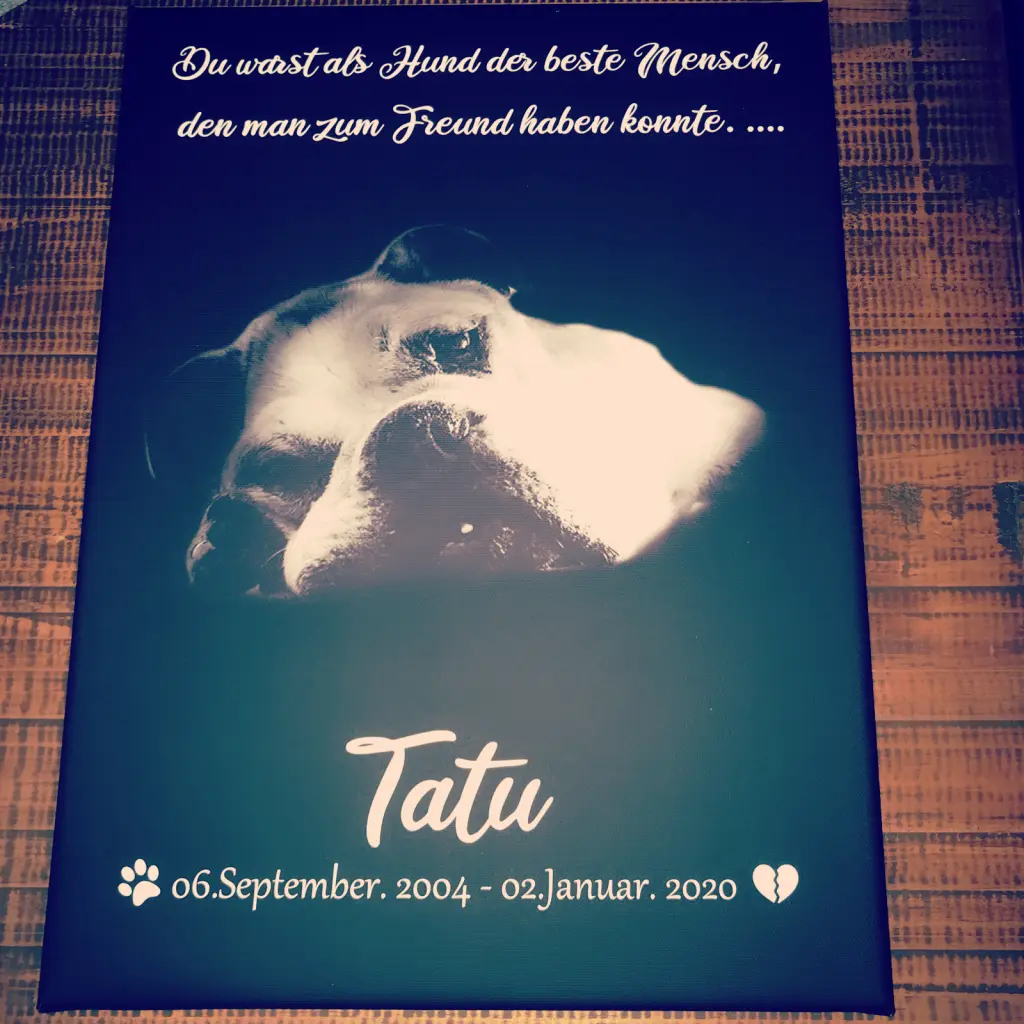 Image from Tatu 