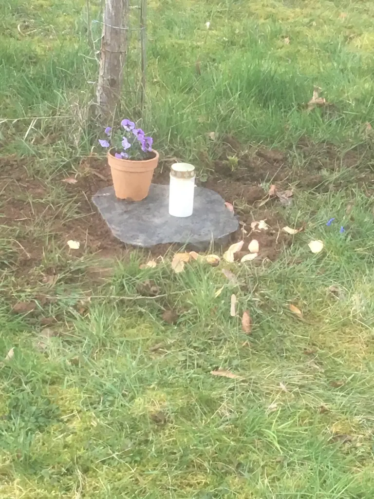 Condolence image of Andrea 