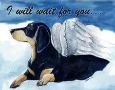 Condolence image of Nicole