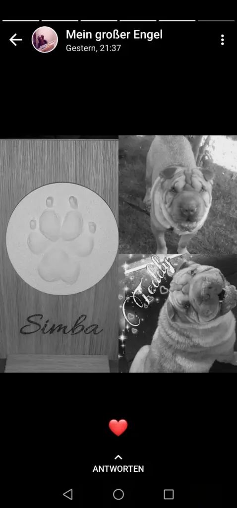 Image from Simba