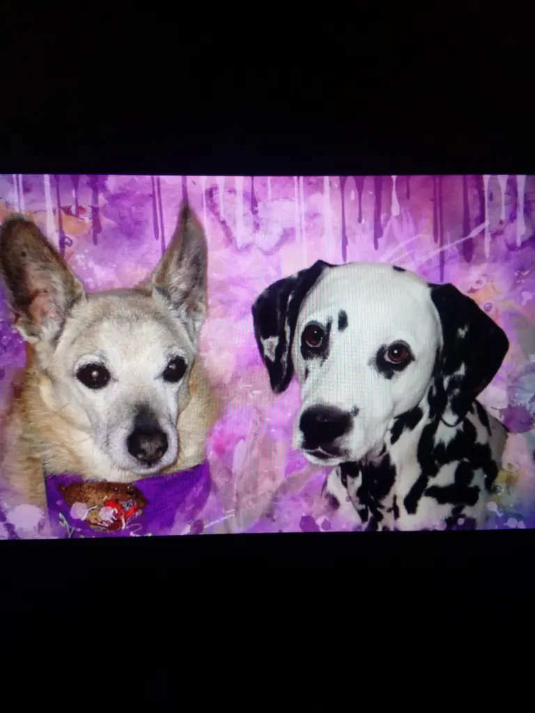 Condolence image of Michaela mit Nicko und Ariane ganz tief im ❤