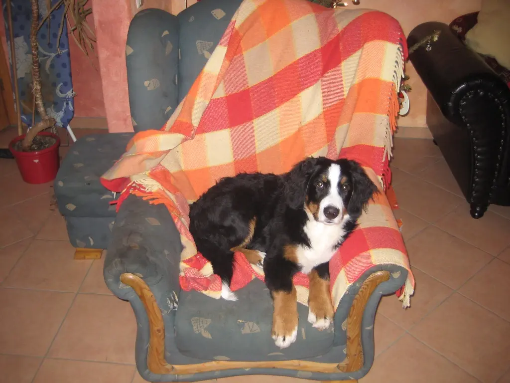 Image from jack