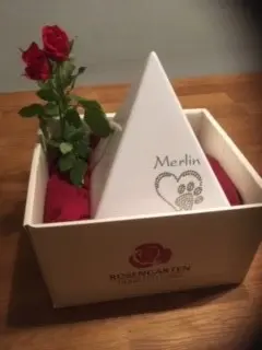 Image from Merlin