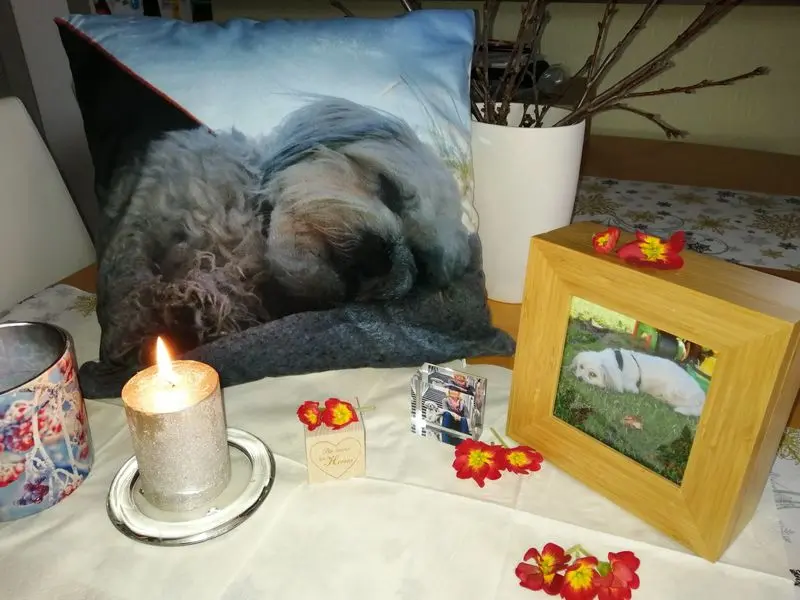 Condolence image of Dein Frauchen