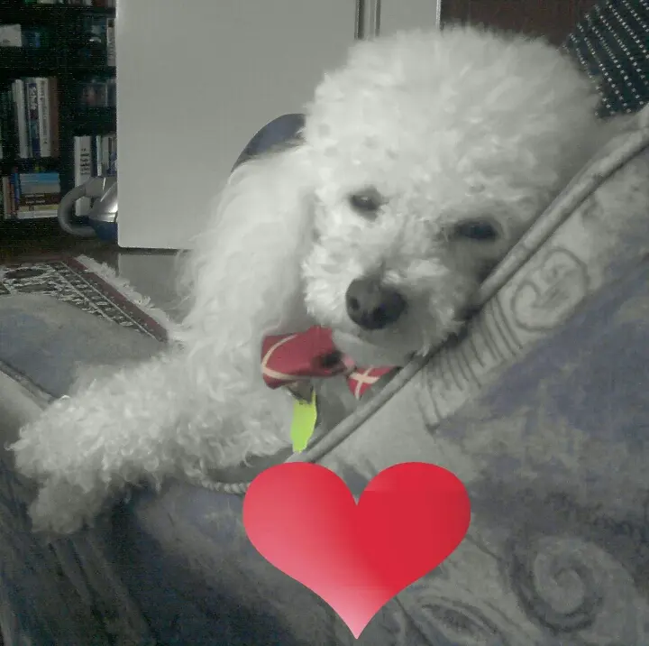 Andachtsbild von Angela mit Engel CHERI ❤⭐✟01.10.2019