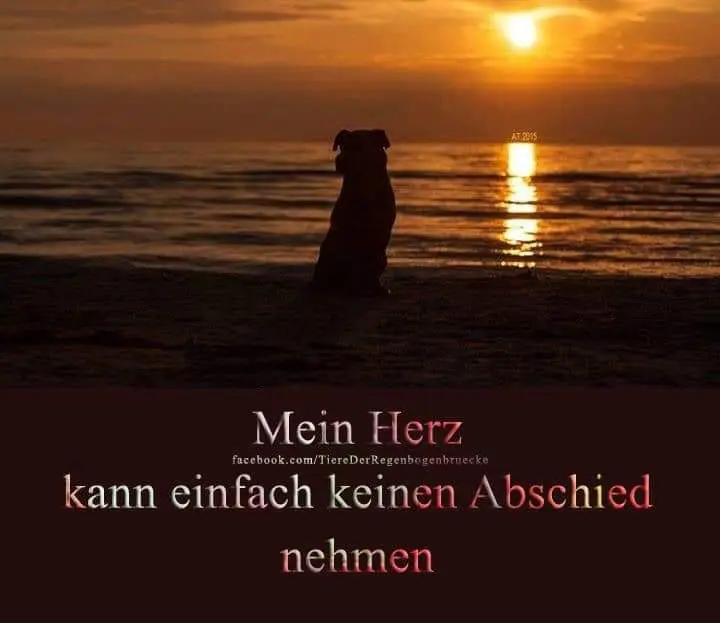 Condolence image of Karin