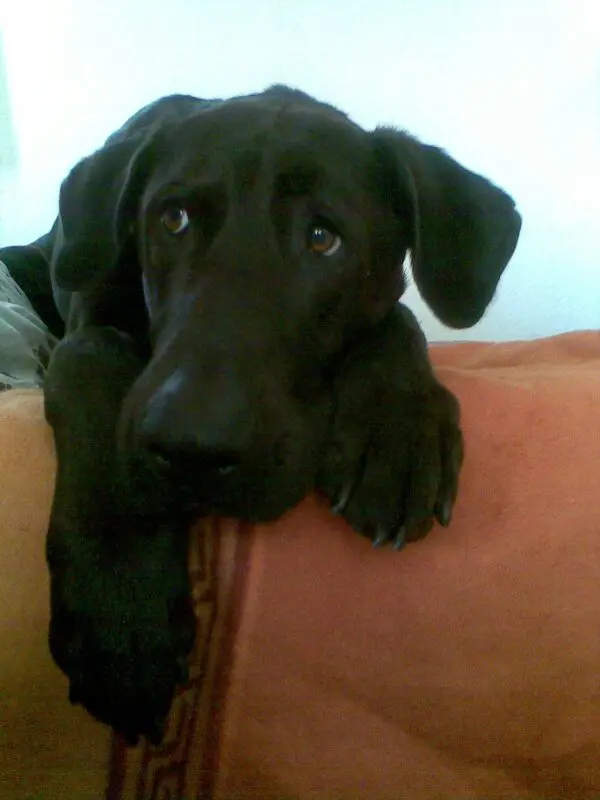 Image from Rusty