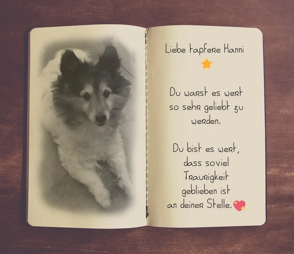 Condolence image of Sabine mit Kaspar tief im Herzen