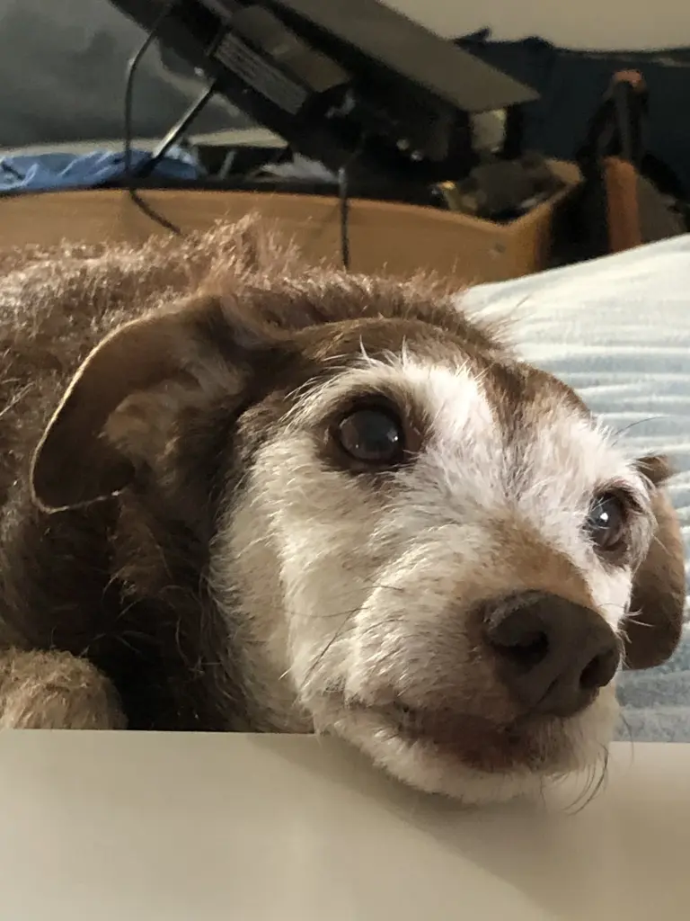 Bild von Hanni Bacher