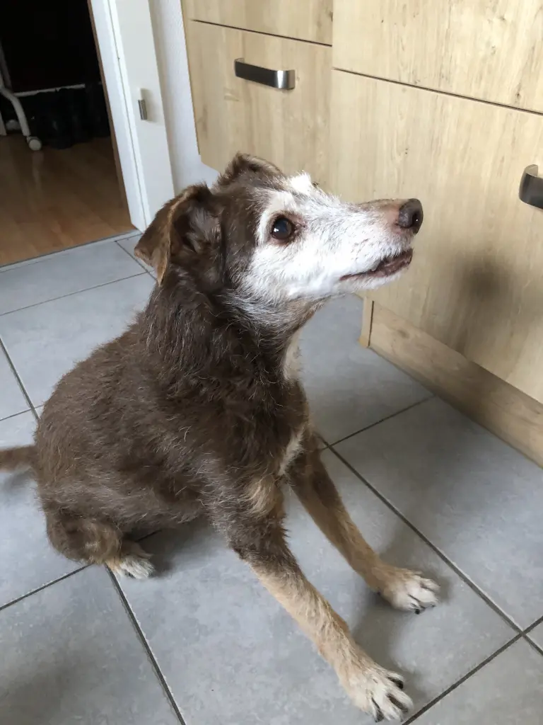 Bild von Hanni Bacher