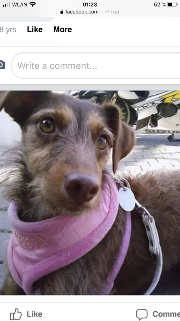 Bild von Hanni Bacher