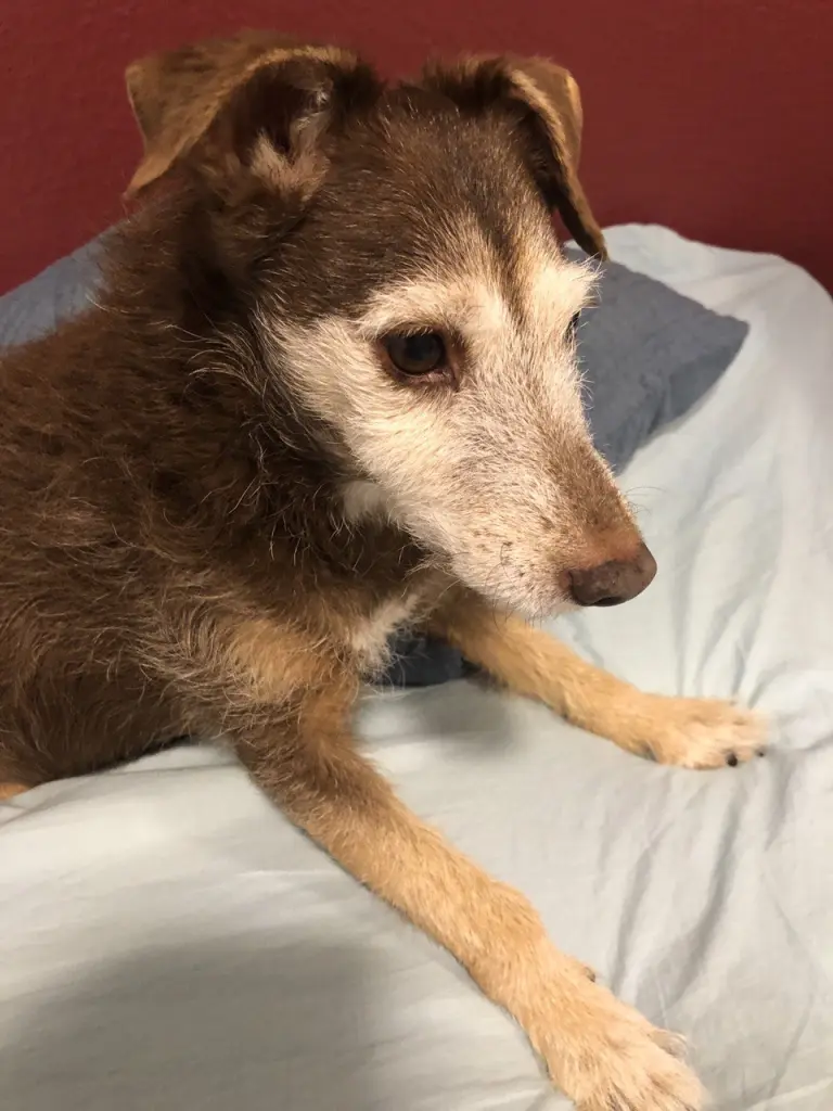 Bild von Hanni Bacher