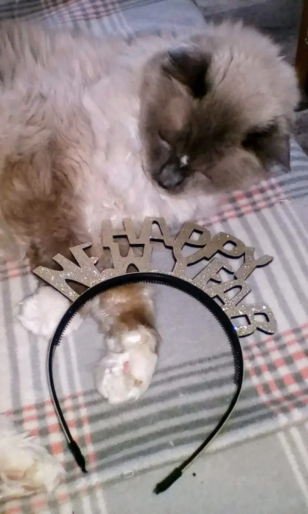 Condolence image of Alexa