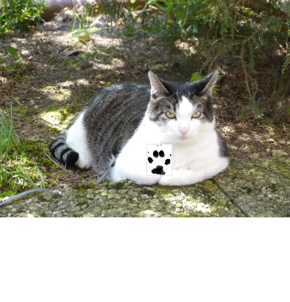 Condolence image of Petra mit Timmy tief im Herzen