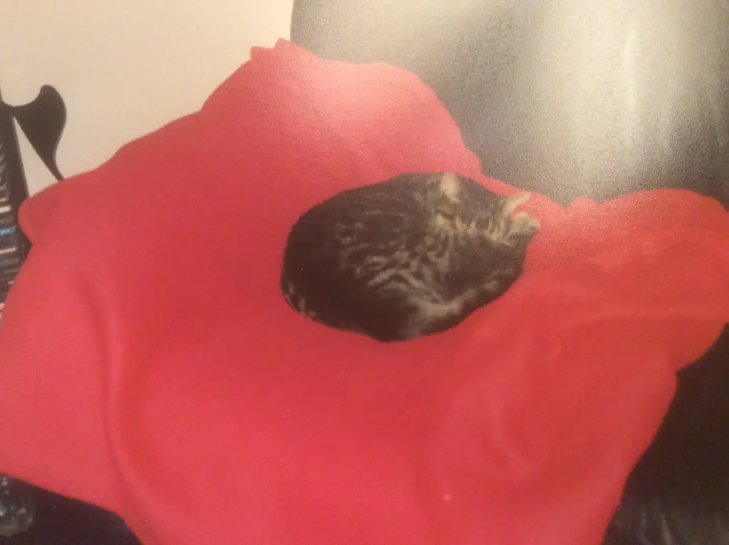 Andachtsbild von Conny