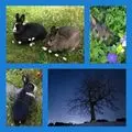 Andachtsbild von Drina mit Jasper und Pauline im Herzen
