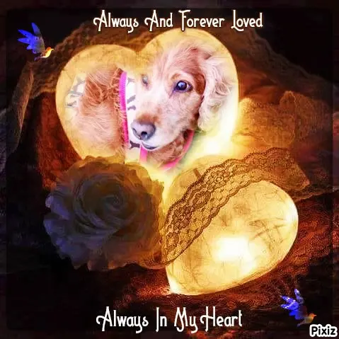 Condolence image of sabine
